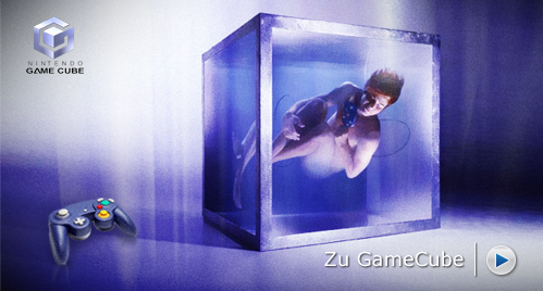 gamecube